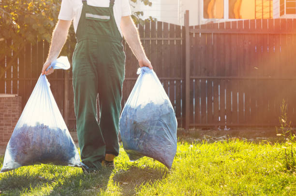 Best Dumpster Rental Services  in Homer Glen, IL